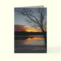 Sunset January 9th cards by MoiraAshleigh Sunset January 9th cards