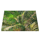 Sunset Lit Palm Fronds Canvas Print