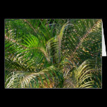 Sunset Lit Palm Fronds Card