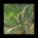 Sunset Lit Palm Fronds Magnet