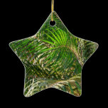 Sunset Lit Palm Fronds Ornament