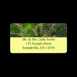 Sunset Lit Palm Fronds Return Address Label