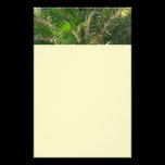 Sunset Lit Palm Fronds Stationery