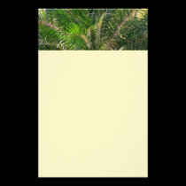 Sunset Lit Palm Fronds Stationery stationery