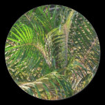 Sunset Lit Palm Fronds Sticker