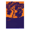 Sunset Madrone posters