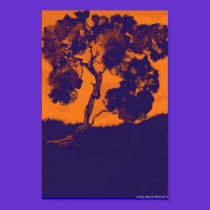 Sunset Madrone posters