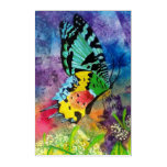 Sunset Moth Profile (Portrait Orientation) Acrylic Print