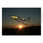 Sunset Mustang Greeting Cards