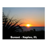 Sunset - Naples, FL Post Card