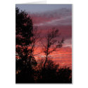 sunset #nnn cards