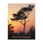 Sunset Ocean View Postcard
