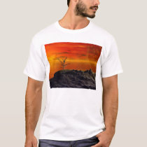 Sunset of Decay t-shirts