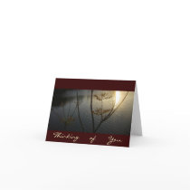 Sunset on Ripples cards