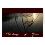 Sunset on Ripples/Thinking-of-You Greeting Cards