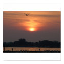 Sunset on Sandusky Bay posters by annabanana32481 Sunset on Sandusky Bay posters