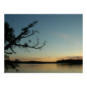Sunset on Sawbill Lake posters by lordgourd Sunset on Sawbill Lake posters