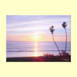 Sunset on the Beach - Canvas Print canvas prints