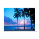Sunset on the beach posters
