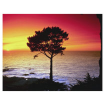Sunset on the famous Monterey Peninsula, Monterey, Full Color Flyer