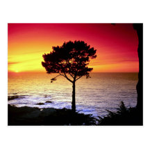 Sunset on the famous Monterey Peninsula, Monterey, Postcard