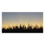Sunset on the Farm