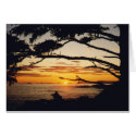Sunset on the Pacific cards by kchwxdr Sunset on the Pacific cards