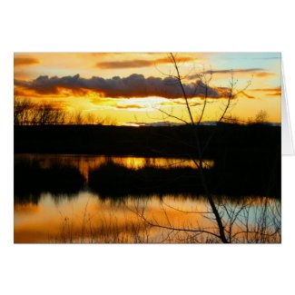 Sunset on the Pond card