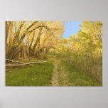 Sunset on the San Pedro River Trail Posters