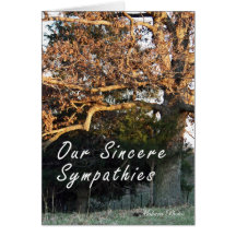 Sunset on the tree sympathy card
