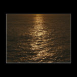 Sunset on the Water Postcard