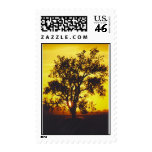 sunset or sunrise postage