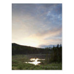 Sunset Over A Misty Pond Postcard