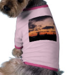 SUNSET OVER ARGENTIA NL PET CLOTHING