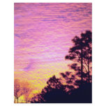 Sunset over Citrus County, Florida Personalized Flyer
