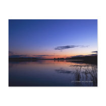 Sunset Over Lake Wabamun With Grass Postcard