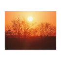 Sunset over the Bayou postcards