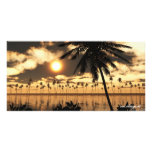 Sunset Palm Photo Card