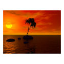 Sunset Palm posters