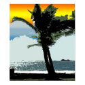 Sunset Palm posters