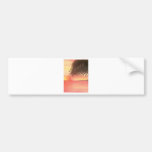 sunset palm tree bumper sticker