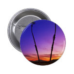 Sunset Palm Trees buttons