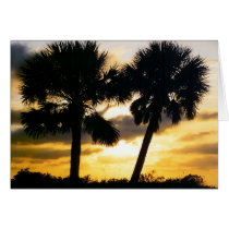 sunset palms cards by nyksla sunset palms cards