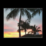 Sunset Palms Postcard