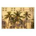 Sunset Palms posters by Lamberton Sunset Palms posters