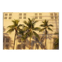 Sunset Palms posters by Lamberton Sunset Palms posters