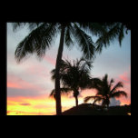 Sunset Palms Print