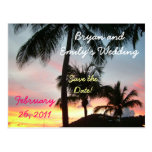 Sunset Palms Save the Date Postcard