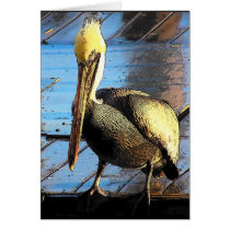 Sunset Pelican Card