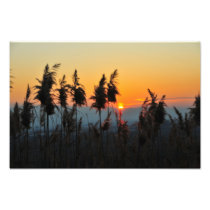 Sunset Photographic Print